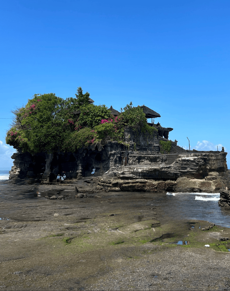 tanahlot-2
